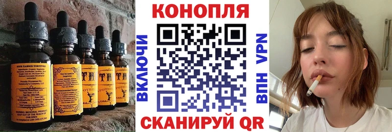 Canna-Cookies конопля  KRAKEN   Обь 