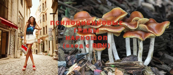 каннабис Белоозёрский