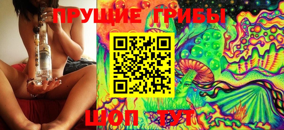 Псилоцибиновые грибы MAGIC MUSHROOMS Обь