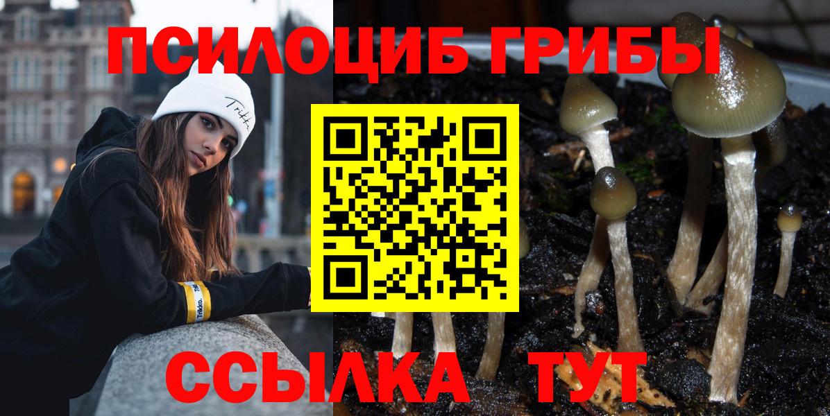 Галлюциногенные грибы MAGIC MUSHROOMS  Вход с VPN  Обь 